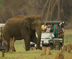 Kabini Tour Package