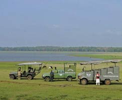 Kabini Honeymoon Trip