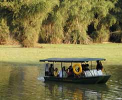 Honeymoon In Kabini