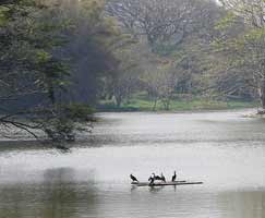 Holiday In Kabini