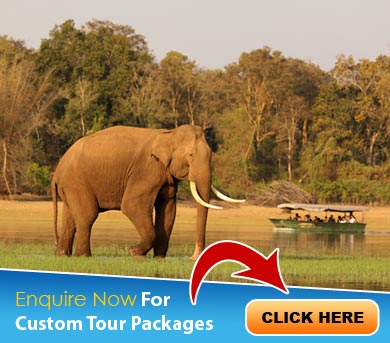 Kabini Tour Packages