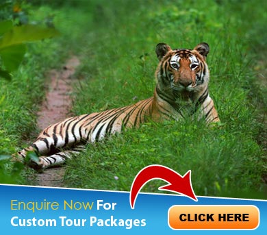 Kabini Tour Packages