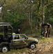 Kabini Tour Packages